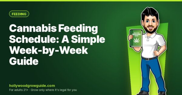 Cannabis Feeding Schedule: A Simple Week-by-Week Guide for Soil, Coco & Hydro