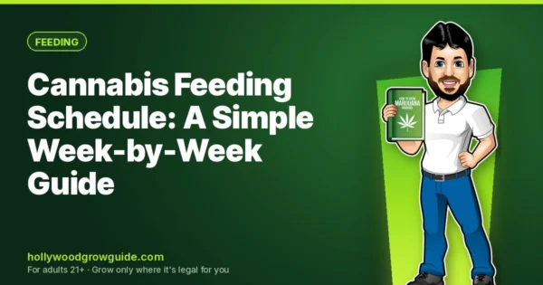 Cannabis Feeding Schedule: A Simple Week-by-Week Guide for Soil, Coco & Hydro