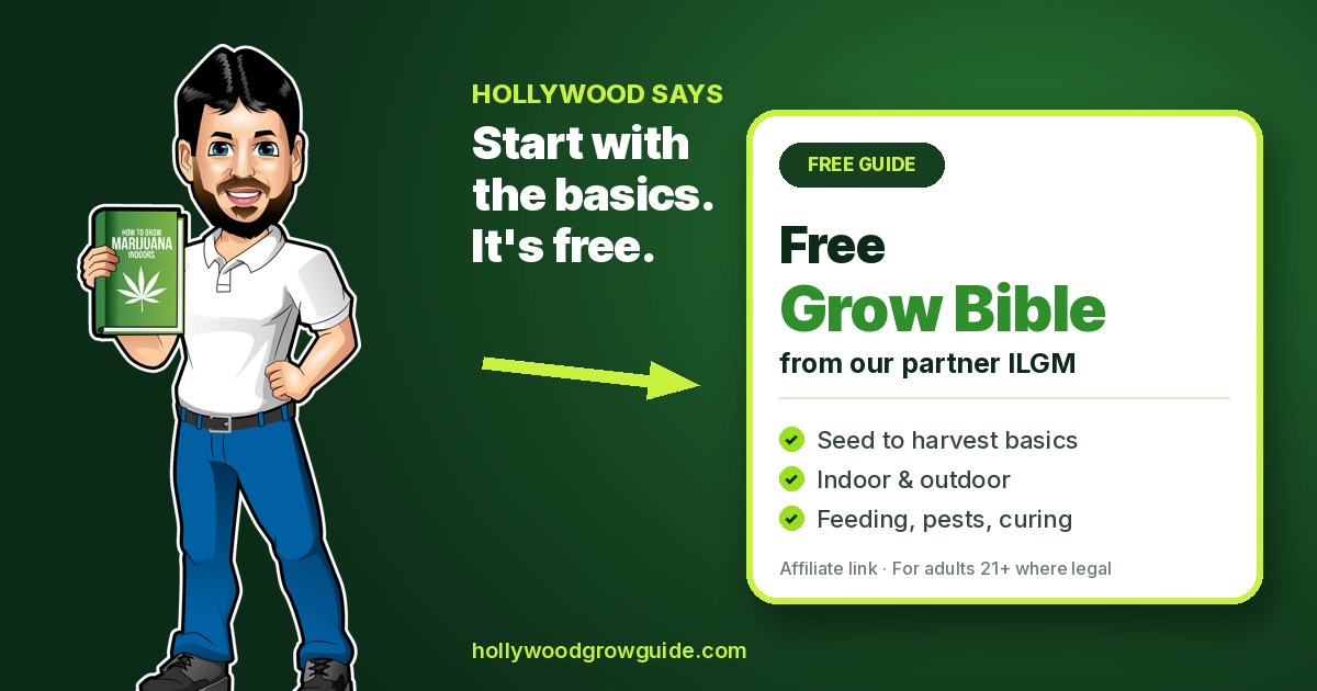 Hollywood beside a card that reads Free Grow Bible from our partner ILGM