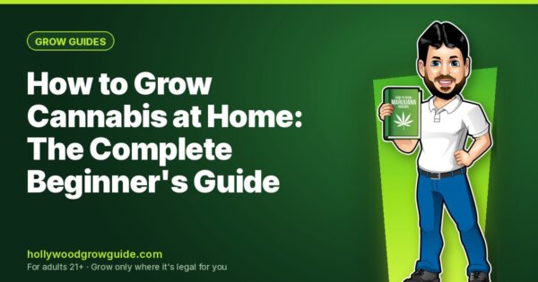 How to Grow Cannabis at Home: The Complete Beginner's Guide