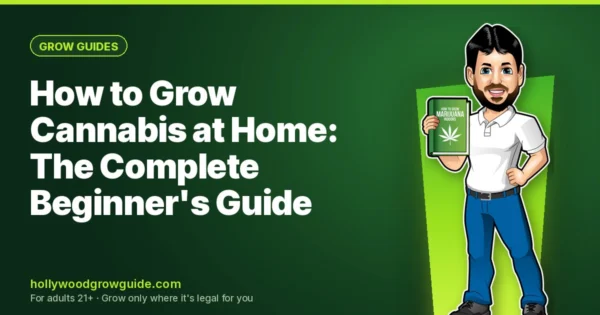 How to Grow Cannabis at Home: The Complete Beginner's Guide