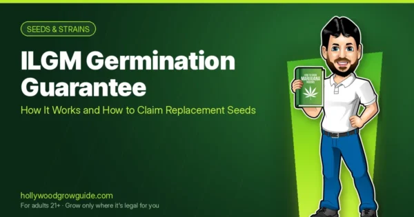 Hollywood beside the title “ILGM Germination Guarantee” on a Hollywood's Grow Guide graphic