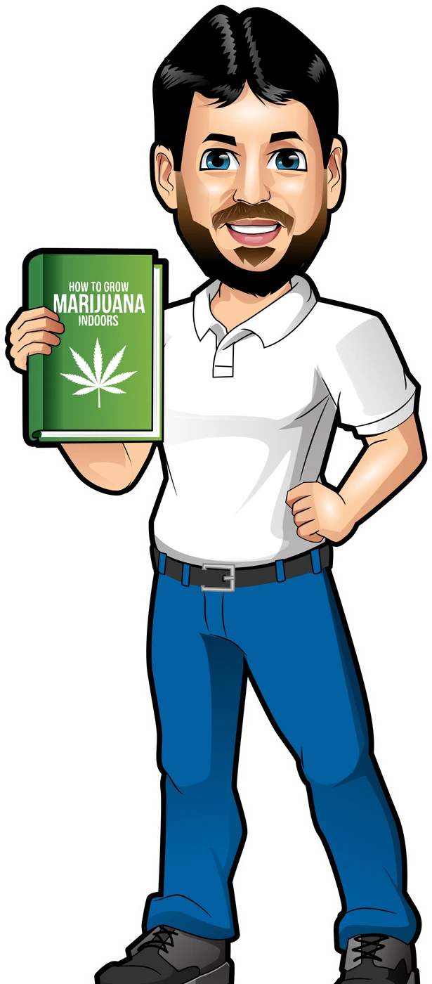 Hollywood, drawn holding a grow book